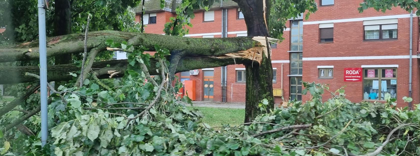 PROGLAŠENA PRIRODNA NEPOGODA – OLUJNI I ORKANSKI VJETAR