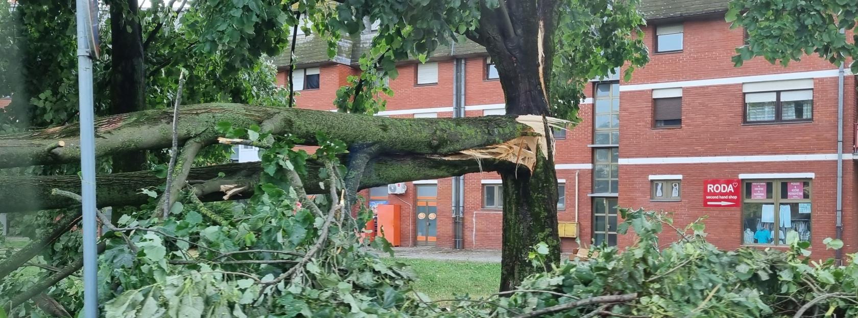 Obavijest o čišćenju grada Kutine