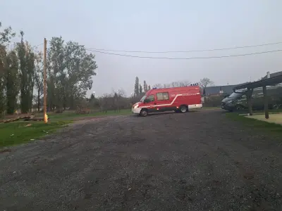 IMG-20241026-WA0006