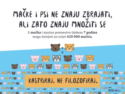 Snimka zaslona 2025-02-20 193943