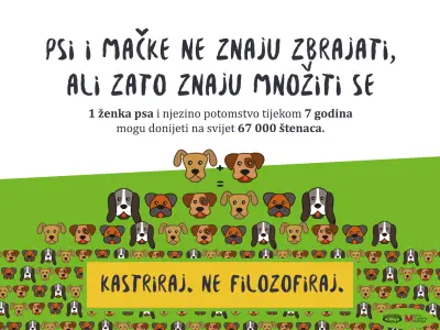 Snimka zaslona 2025-02-20 194024