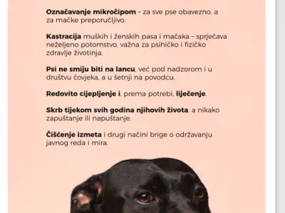 562_Snimka_zaslona_2024_02_05_122056