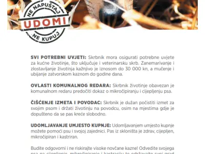 563_Snimka_zaslona_2024_02_05_12192343424