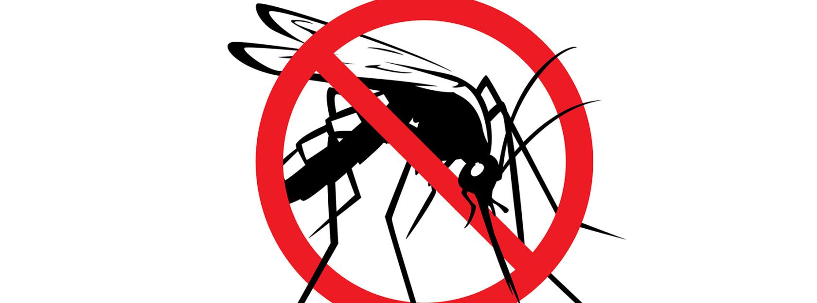 Obavijest o dezinsekciji komaraca na području Grada Kutine