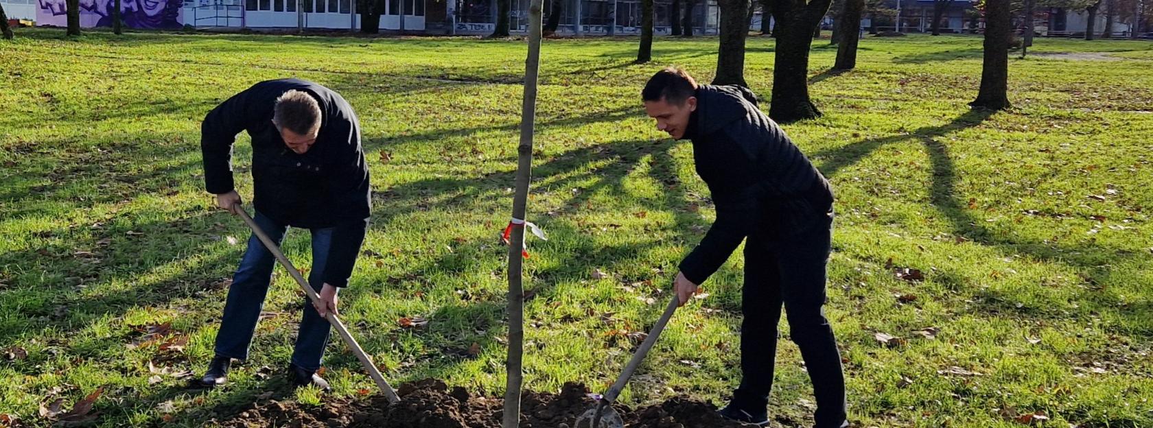 Obnova zelene infrastrukture u gradu Kutini