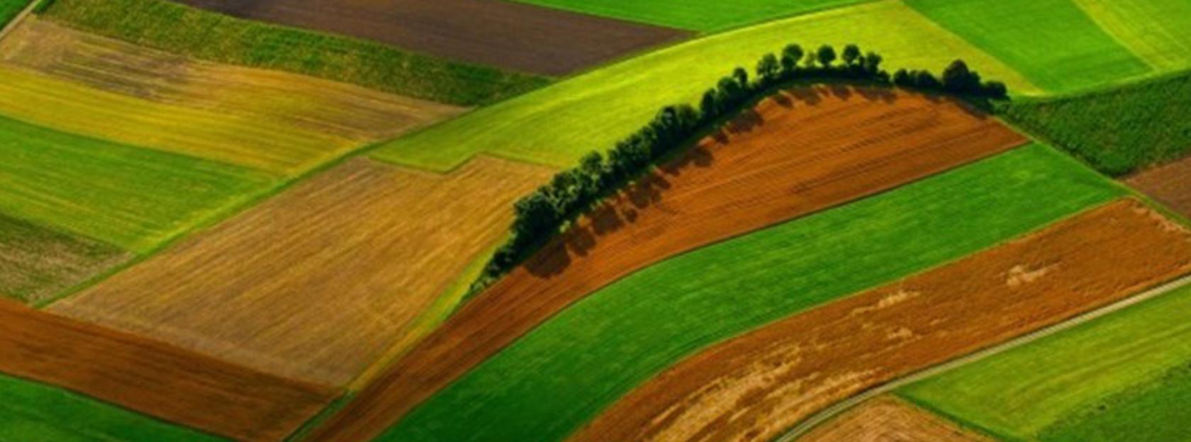 Program potpora poljoprivredi i ruralnom razvoju na području Grada Kutine za 2025. godinu - JAVNI POZIV