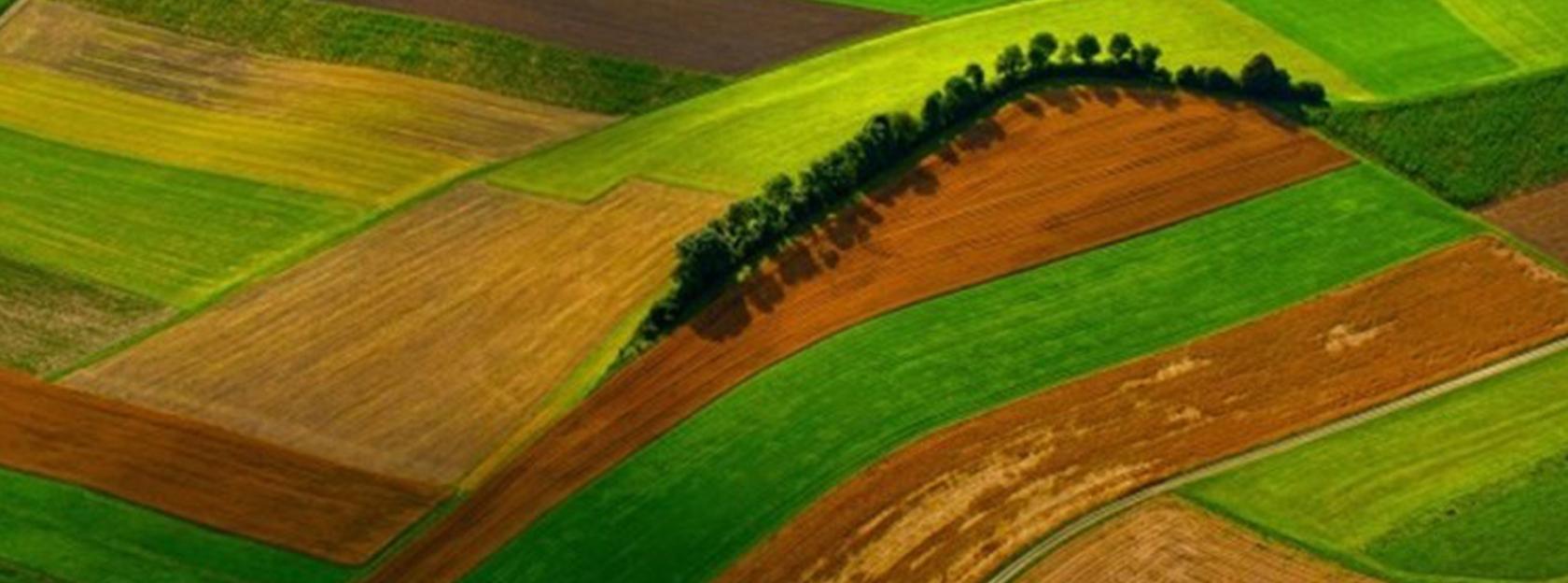 Program potpora poljoprivredi i ruralnom razvoju na području Grada Kutine za 2024. godinu