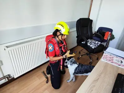 384105792_723719399797076_3547217147928379141_n