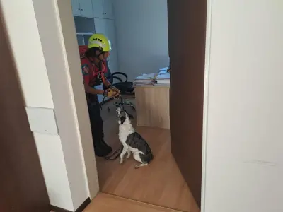 378398702_723717669797249_7679723444006599510_n