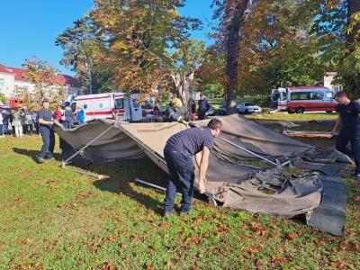 378376133_723717476463935_7113759356194255425_n