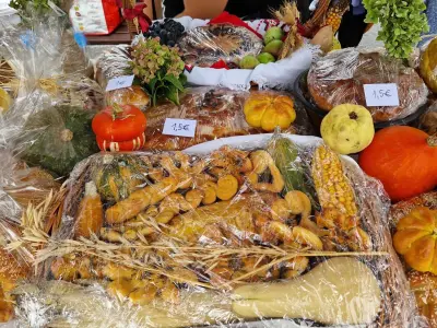 Dani kruha i zahvalnosti za plodove zemlje u Kutini 17