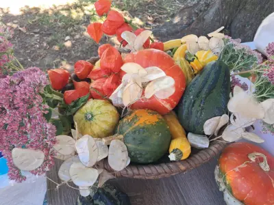 4e1ef5f4-6b12-4547-8de7-c9eb5b7cca20