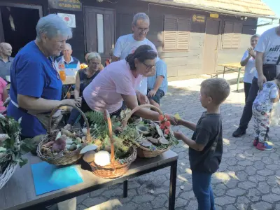 992313fe-b749-4cb8-b256-453b895d345f