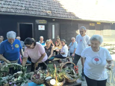 e3374983-a785-41ab-a7ce-75e1448b6280