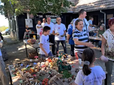 25e6de37-fc5f-4fe1-aa8e-b6aced0ca683