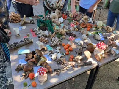 9d7cc483-3df3-406c-b31a-8b50f3222aac