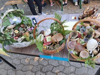 102e516a-2ba5-4d11-92ca-e43ef0dbe47e