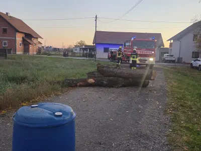 3579109c-aad9-453d-9b0b-9f304dedf821