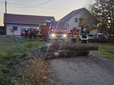 d599a791-1c79-48f5-9e4a-143c57a344f8