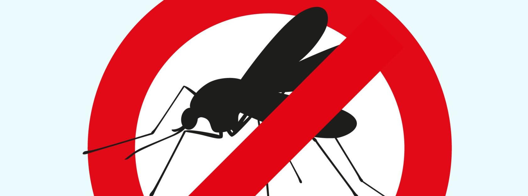 Obavijest o dezinsekciji komaraca na području Grada Kutine