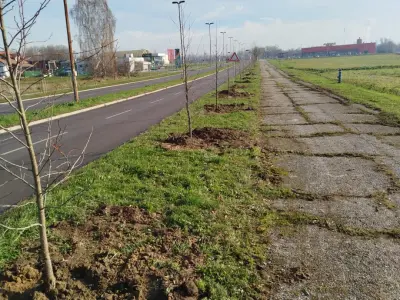 Screenshot_2025-12-10-12-52-15-892_com.whatsapp