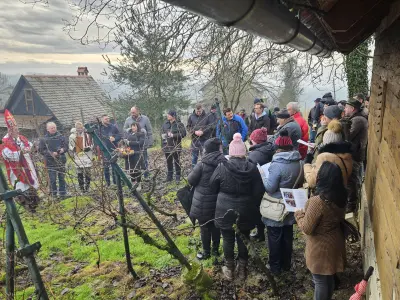 6c2c464d-b027-43a7-b606-75e649c5adbe