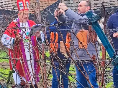 cfd34b58-dca6-4178-8e03-4ad084e61e30