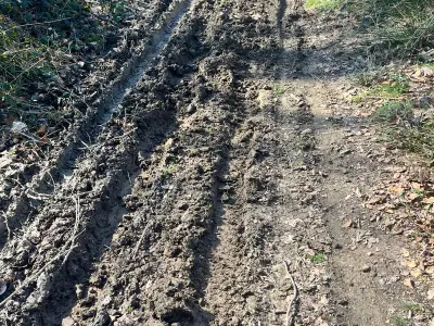 d164d509-6420-4829-85a8-0265f7e8dbb3