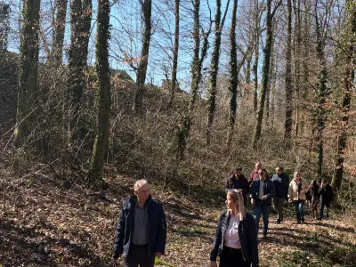 8974f886-0c6c-4eb8-bdda-cd244d5af7a6