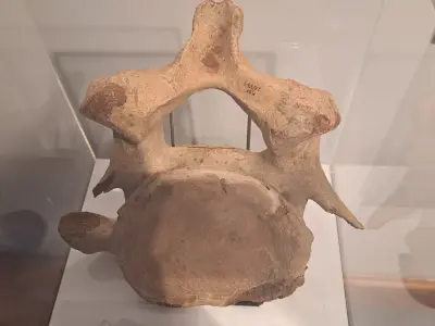 673879259_1552598483535778_811384122778128598_n