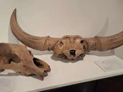 673724017_1552598853535741_2424688664314663896_n