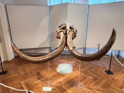 671972669_1552598523535774_6143382166123521962_n