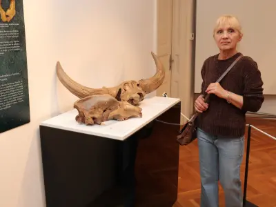 671212177_1626306152168885_5401675594298380547_n