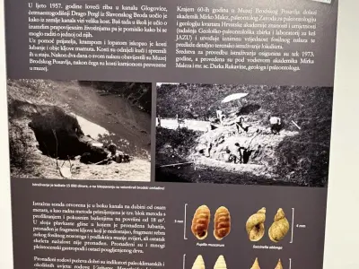 672669719_1552598563535770_5153998547935326208_n