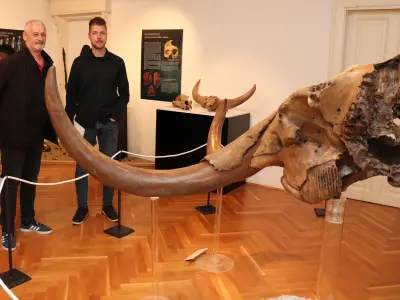 672324783_1626307172168783_8728391108370587458_n