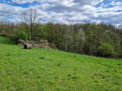 434271338_930423172419982_2398441495390041900_n