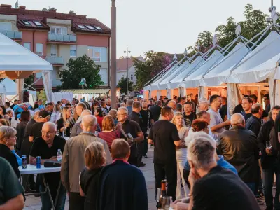 MoslaVina_2026_410
