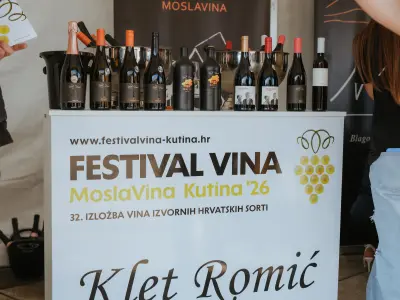 MoslaVina_2026_133