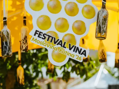 MoslaVina_2026_5