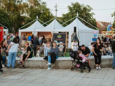 MoslaVina_2026_391