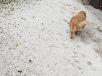 WhatsApp Slika 2024-07-01 u 18.29.43_e0459830