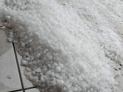 WhatsApp Slika 2024-07-01 u 17.24.09_a895cb66