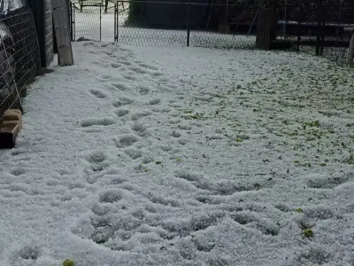 WhatsApp Slika 2024-07-01 u 18.29.43_c80c84c5