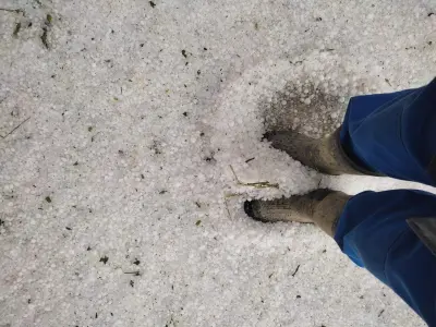 WhatsApp Slika 2024-07-01 u 17.33.59_7d705e2e