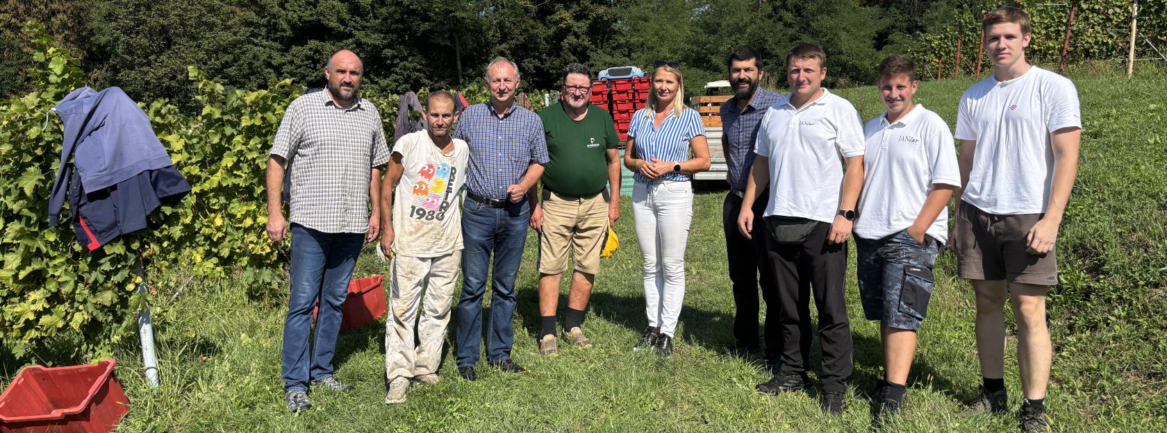 Berba grožđa u Moslavini – obilazak vinograda OPG-a Jančar