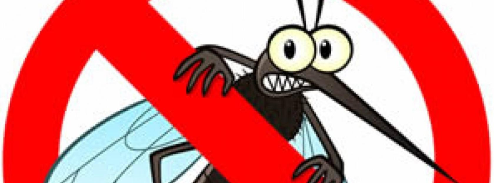 Obavijest o dezinsekciji komaraca na području Grada Kutine