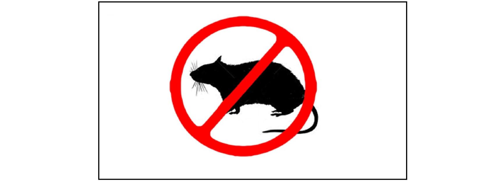 OBAVIJEST PROVODITELJA USLUGE DERATIZACIJE ZA PODRUČJE GRADA KUTINE  (VETERINARSKA STANICA KUTINA) 2024.