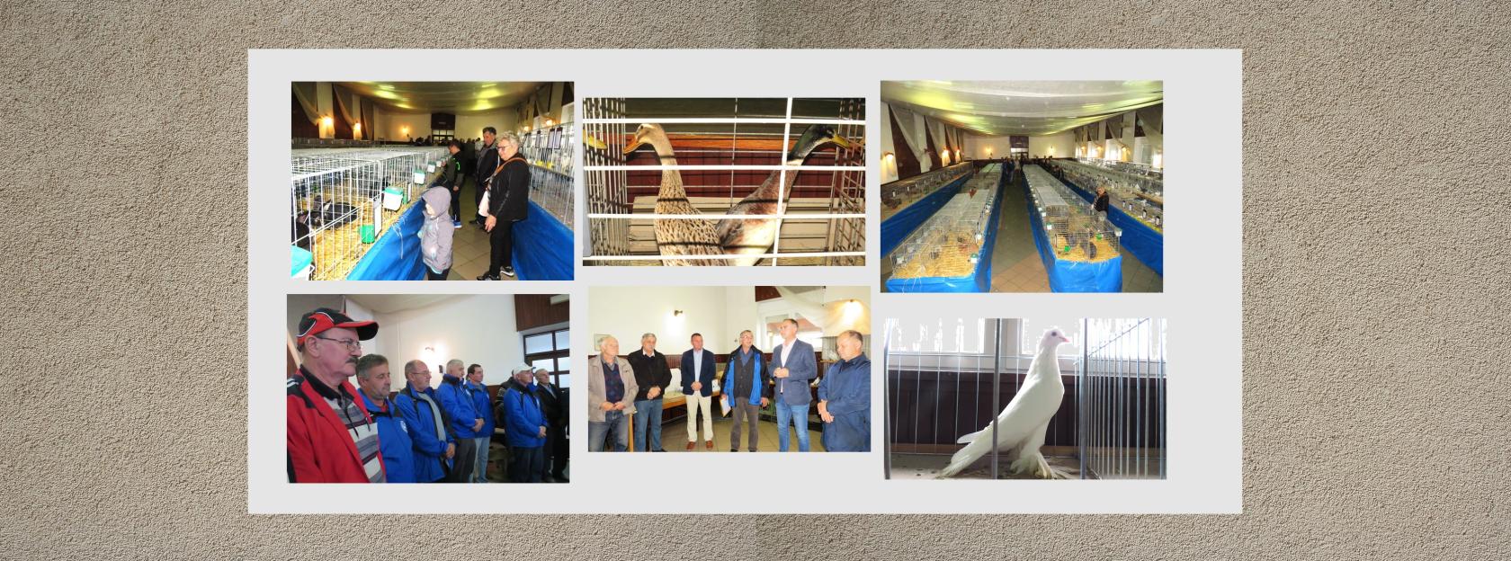 32. međužupanijska izložba malih životinja