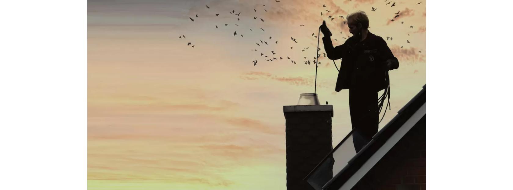 Raspored rada dimnjačarske službe