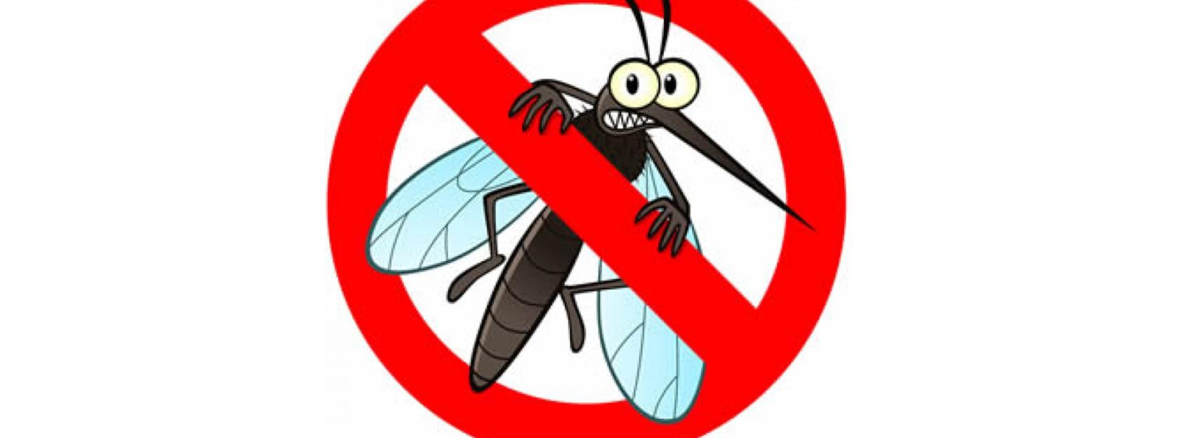 Obavijest o dezinsekciji komaraca na području Grada Kutine